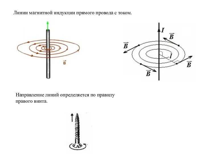 Линии магнитной индукции прямого провода с током. Направление линий определяется по правилу правого винта.