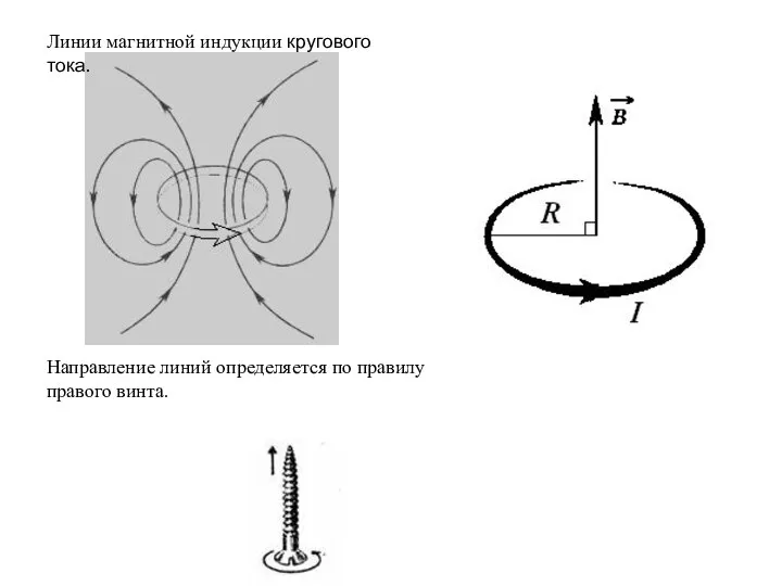 Линии магнитной индукции кругового тока. Направление линий определяется по правилу правого винта.