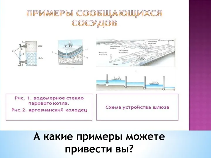 А какие примеры можете привести вы?