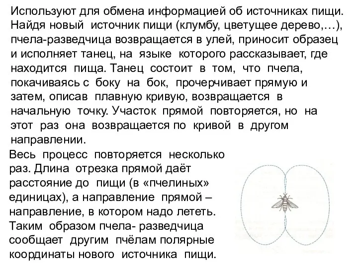 Используют для обмена информацией об источниках пищи. Найдя новый источник пищи