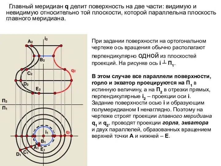 Главный меридиан q делит поверхность на две части: видимую и невидимую