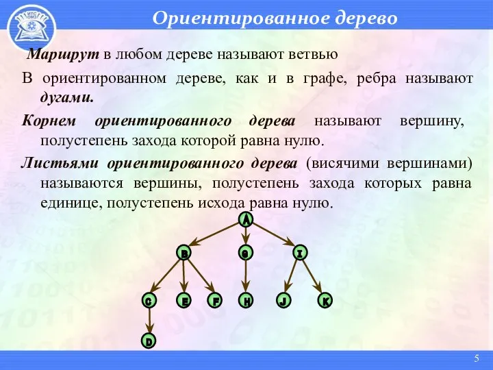 Ориентированное дерево Маршрут в любом дереве называют ветвью В ориентированном дереве,