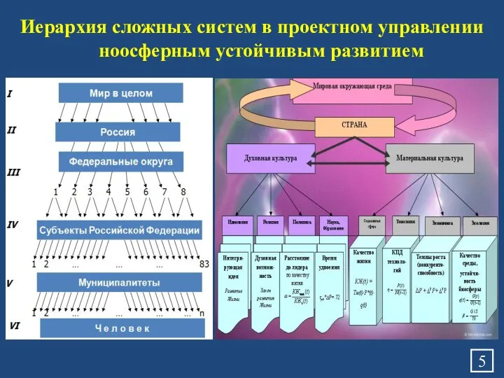 Иерархия сложных систем в проектном управлении ноосферным устойчивым развитием