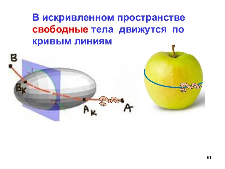 В искривленном пространстве свободные тела движутся по кривым линиям