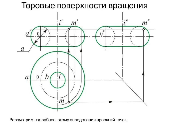 Торовые поверхности вращения Рассмотрим подробнее схему определения проекций точек