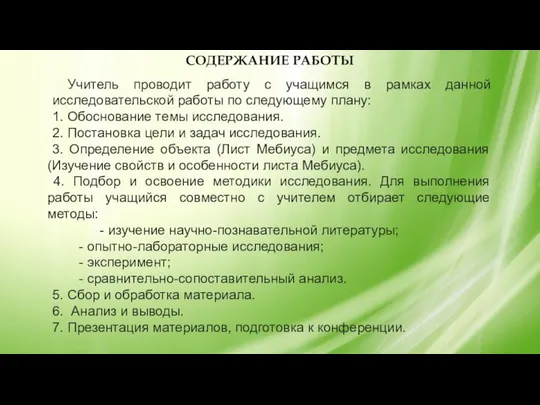 Учитель проводит работу с учащимся в рамках данной исследовательской работы по