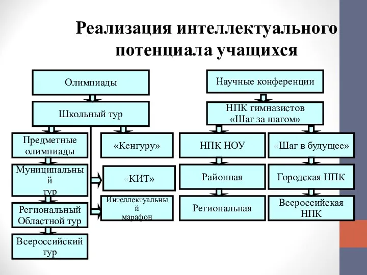 Реализация интеллектуального потенциала учащихся