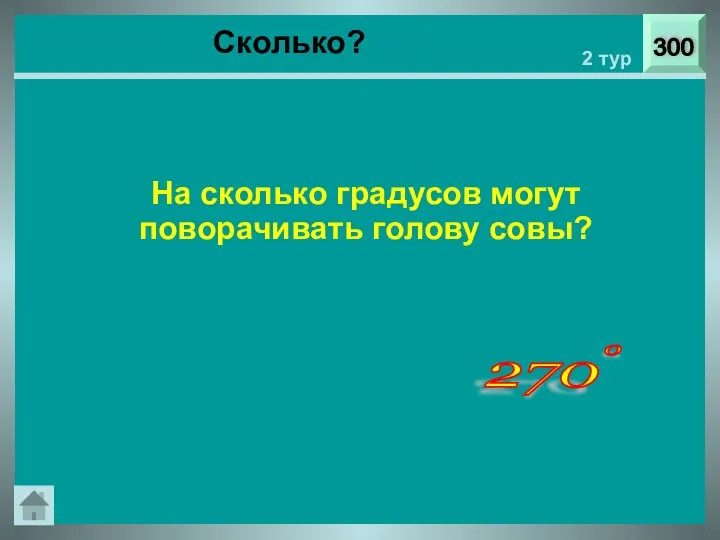 Сколько? 300 2 тур На сколько градусов могут поворачивать голову совы? 270 0