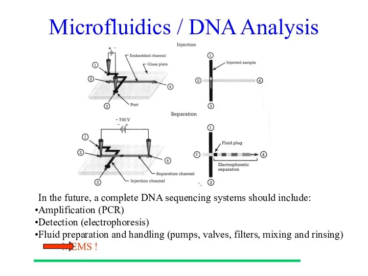 Microfluidics / DNA Analysis