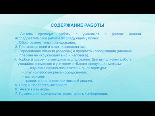 СОДЕРЖАНИЕ РАБОТЫ Учитель проводит работу с учащимся в рамках данной исследовательской