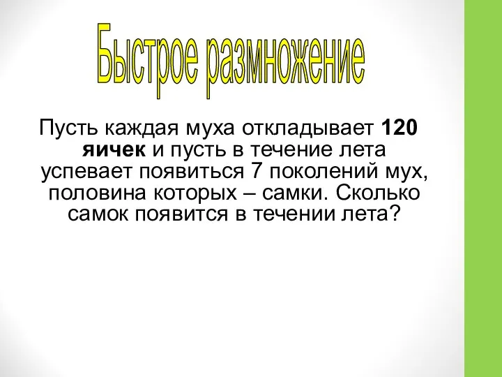 Пусть каждая муха откладывает 120 яичек и пусть в течение лета