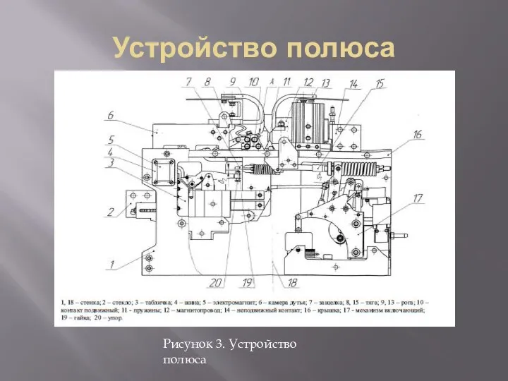 Устройство полюса Рисунок 3. Устройство полюса