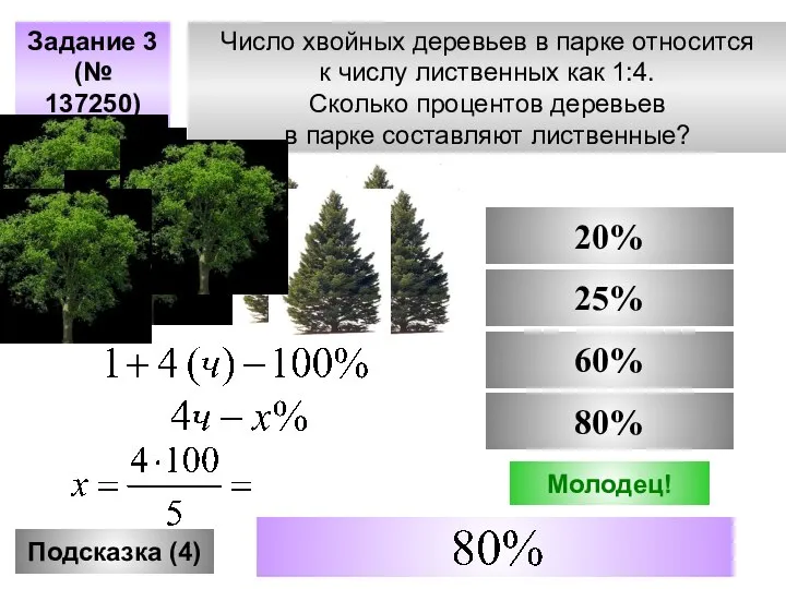 Число хвойных деревьев в парке относится к числу лиственных как 1:4.