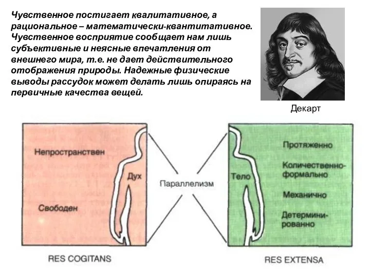 Декарт Чувственное постигает квалитативное, а рациональное – математически-квантитативное. Чувственное восприятие сообщает