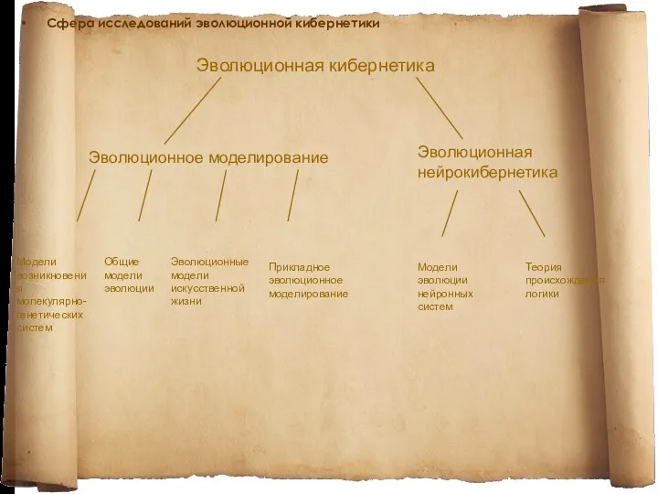 Сфера исследований эволюционной кибернетики Эволюционная кибернетика Эволюционное моделирование Эволюционная нейрокибернетика Модели