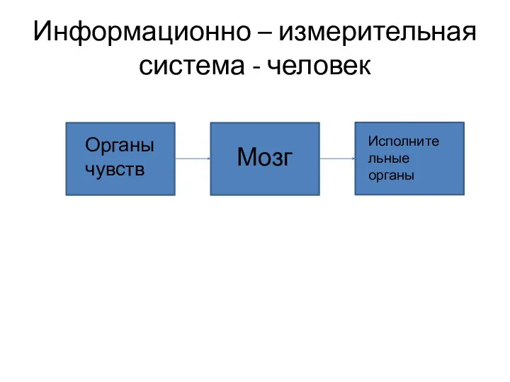 Информационно – измерительная система - человек Мозг Органы чувств Исполнительные органы