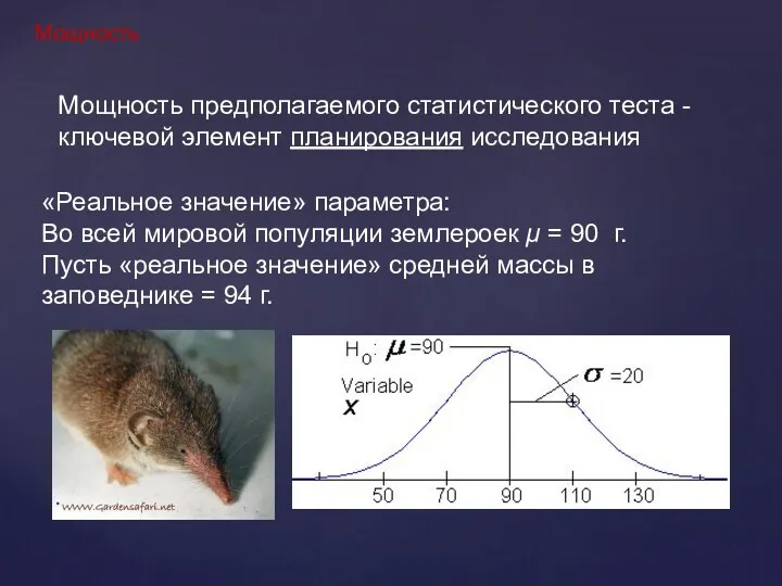 Мощность Мощность предполагаемого статистического теста - ключевой элемент планирования исследования «Реальное