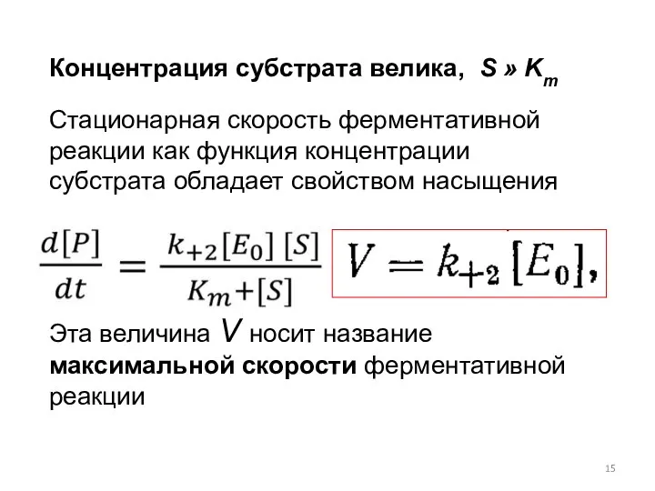 Концентрация субстрата велика, S » Km Стационарная скорость ферментативной реакции как