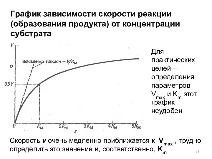 График зависимости скорости реакции (образования продукта) от концентрации субстрата Для практических