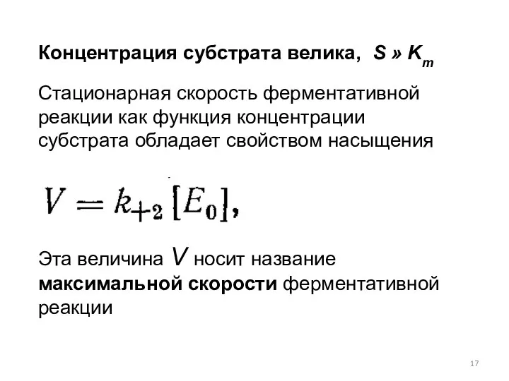 Концентрация субстрата велика, S » Km Стационарная скорость ферментативной реакции как