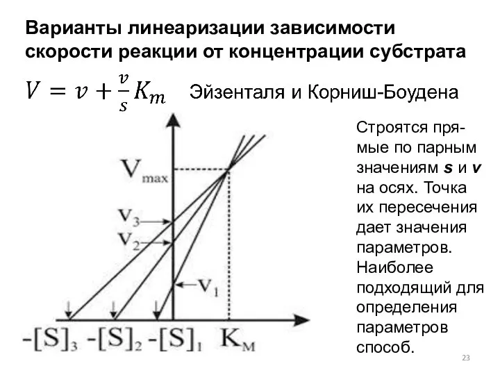 Варианты линеаризации зависимости скорости реакции от концентрации субстрата Строятся пря-мые по