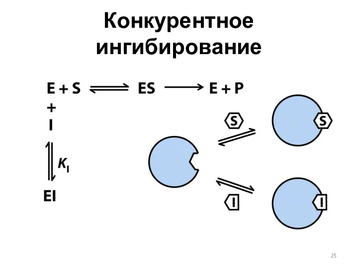 Конкурентное ингибирование