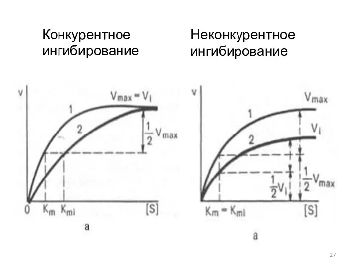 Конкурентное ингибирование Неконкурентное ингибирование