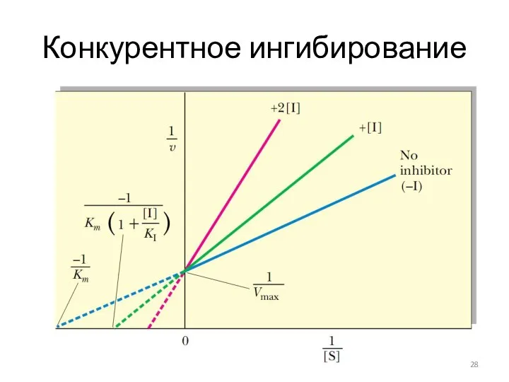 Конкурентное ингибирование