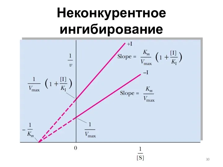 Неконкурентное ингибирование