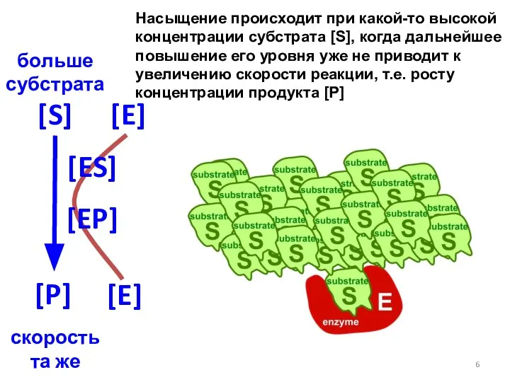 Насыщение происходит при какой-то высокой концентрации субстрата [S], когда дальнейшее повышение