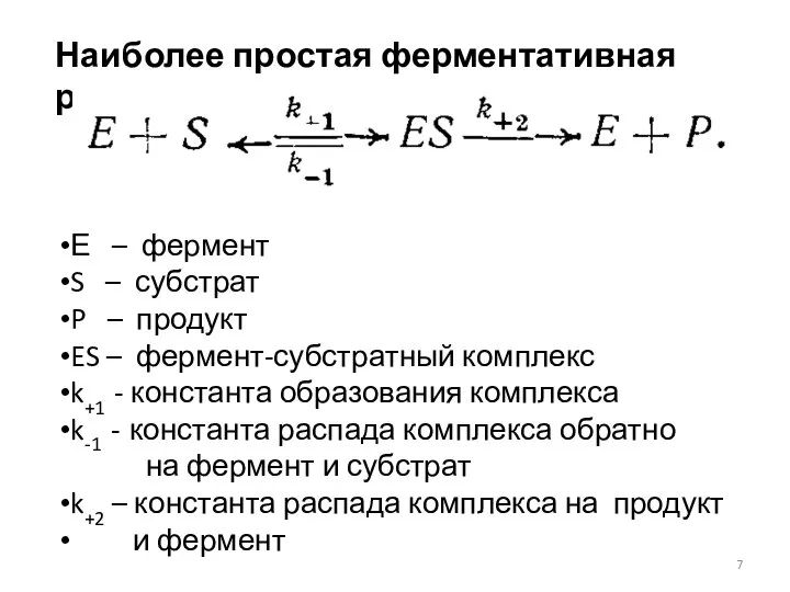 Наиболее простая ферментативная реакция Е – фермент S – субстрат P