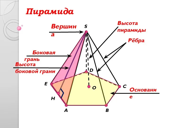 A C D E H B S Вершина Рёбра Основание O