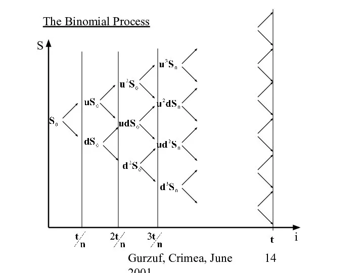 Gurzuf, Crimea, June 2001 The Binomial Process