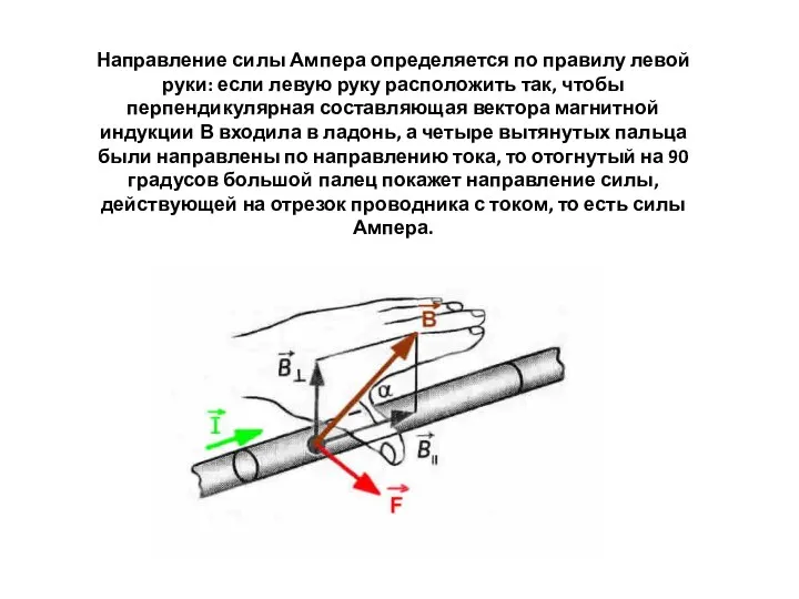 Направление силы Ампера определяется по правилу левой руки: если левую руку