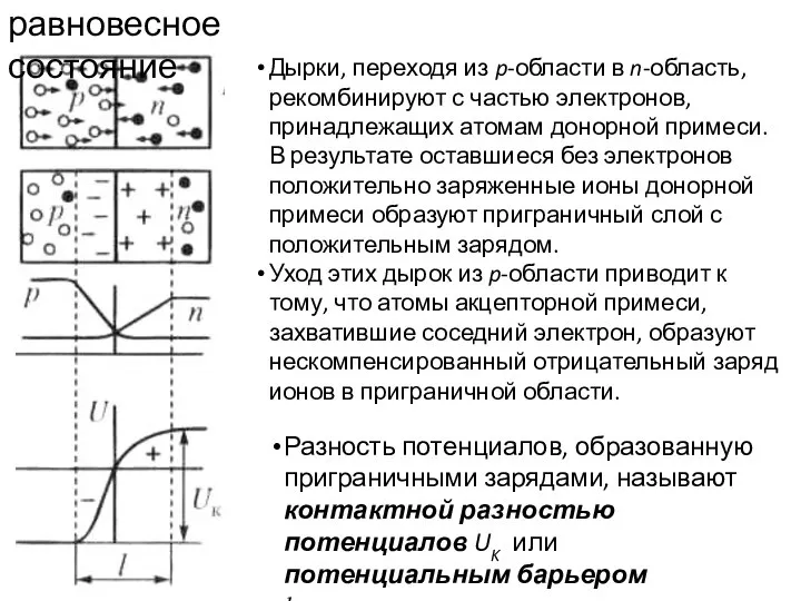 равновесное состояние Разность потенциалов, образованную приграничными зарядами, называют контактной разностью потенциалов