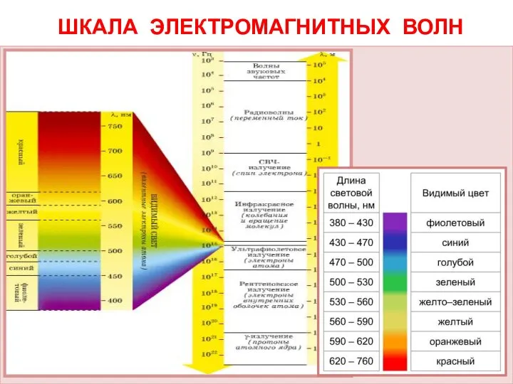 ШКАЛА ЭЛЕКТРОМАГНИТНЫХ ВОЛН