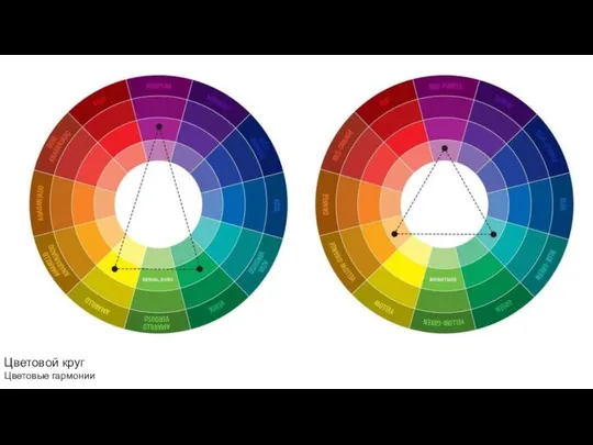 Цветовой круг Цветовые гармонии
