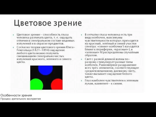 Особенности зрения Процесс зрительного восприятия