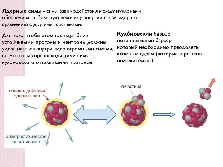 Ядерные силы - силы взаимодействия между нуклонами; обеспечивают большую величину энергии