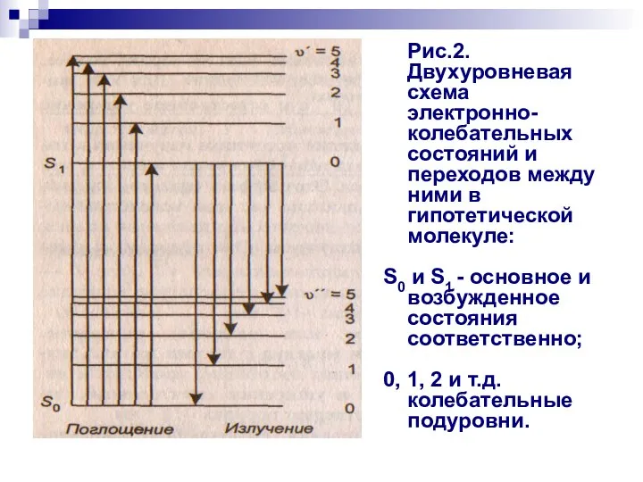 Рис.2. Двухуровневая схема электронно-колебательных состояний и переходов между ними в гипотетической