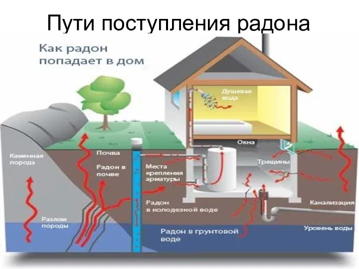 Пути поступления радона