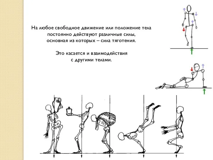 На любое свободное движение или положение тела постоянно действуют различные силы,