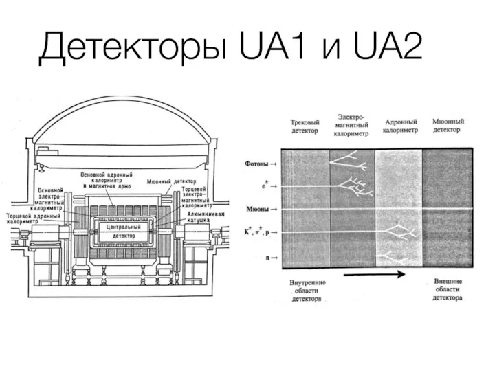 Детекторы UA1 и UA2