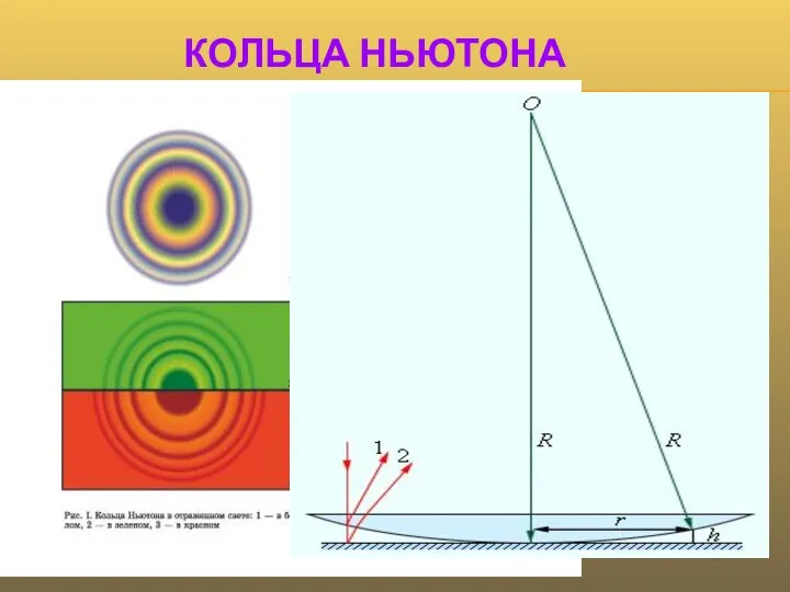 КОЛЬЦА НЬЮТОНА