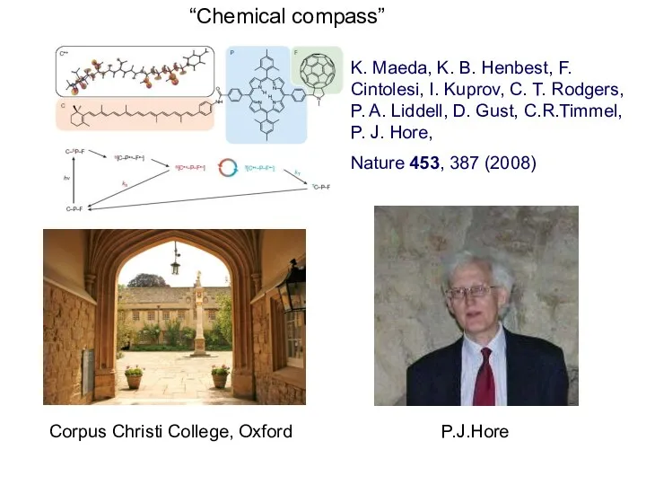 “Chemical compass” K. Maeda, K. B. Henbest, F. Cintolesi, I. Kuprov,