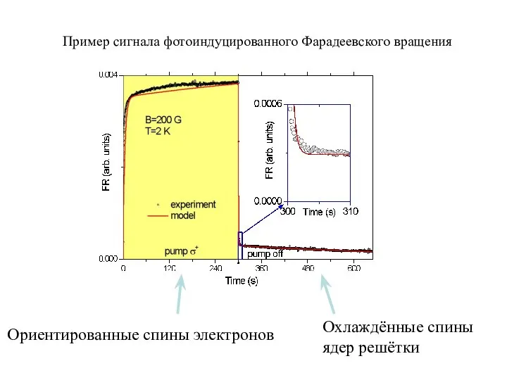 Пример сигнала фотоиндуцированного Фарадеевского вращения Ориентированные спины электронов Охлаждённые спины ядер решётки