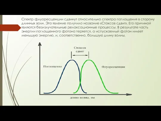 Спектр флуоресценции сдвинут относительно спектра поглощения в сторону длинных волн. Это