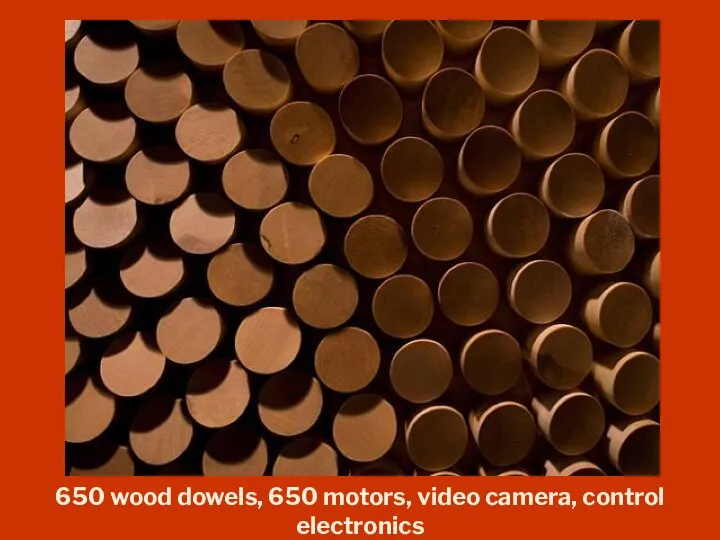 650 wood dowels, 650 motors, video camera, control electronics