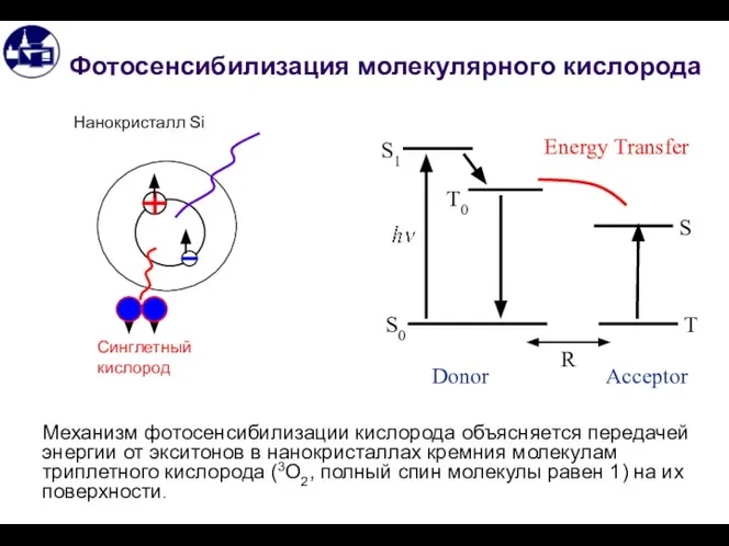 Фотосенсибилизация молекулярного кислорода Механизм фотосенсибилизации кислорода объясняется передачей энергии от экситонов