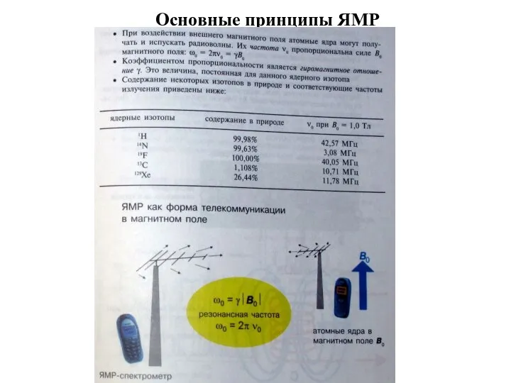 Основные принципы ЯМР